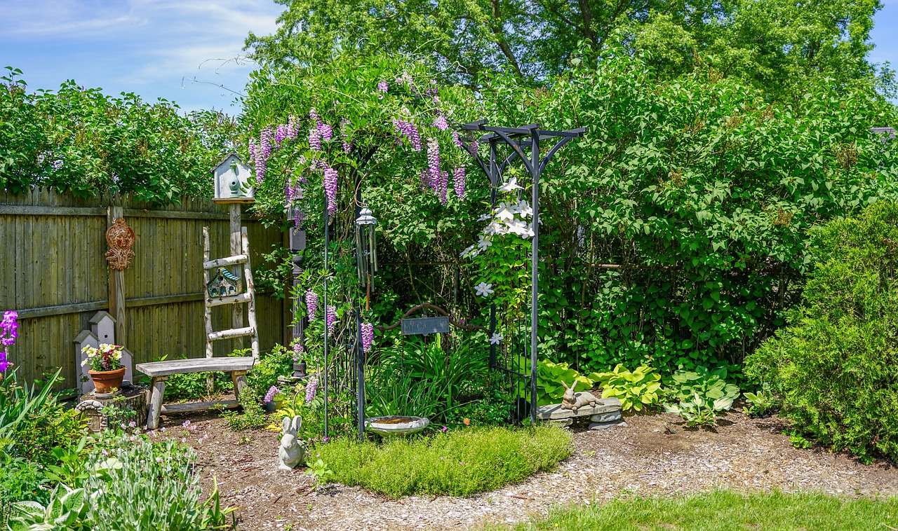 How to Create a Backyard Lounge Area with Plants